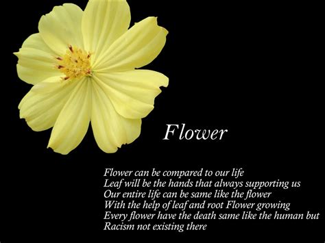 Poems related to flowers. Things To Know About Poems related to flowers. 